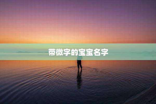 带微字的宝宝名字