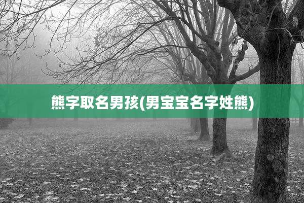 熊字取名男孩(男宝宝名字姓熊)