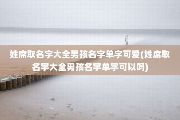 姓席取名字大全男孩名字单字可爱(姓席取名字大全男孩名字单字可以吗)