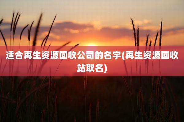 适合再生资源回收公司的名字(再生资源回收站取名)