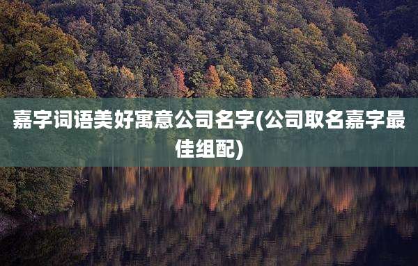 嘉字词语美好寓意公司名字(公司取名嘉字最佳组配)