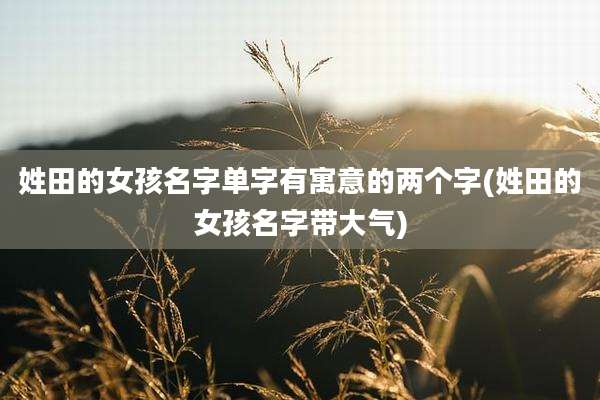 姓田的女孩名字单字有寓意的两个字(姓田的女孩名字带大气)