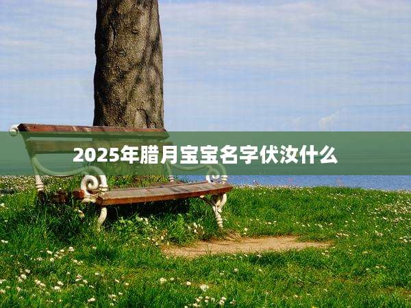 2025年腊月宝宝名字伏汝什么