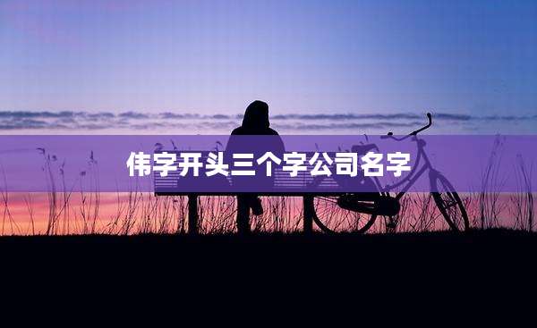 伟字开头三个字公司名字