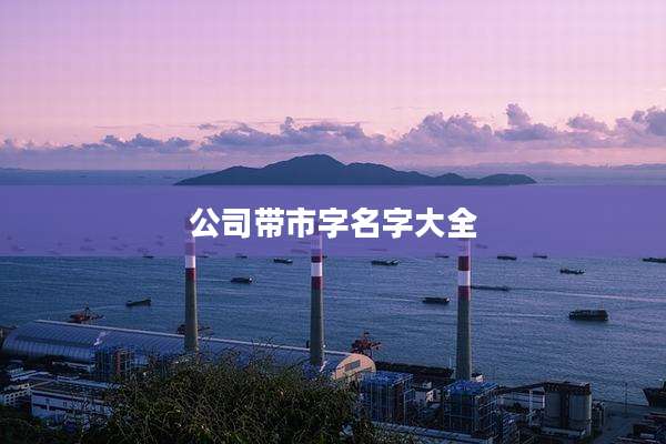公司带市字名字大全