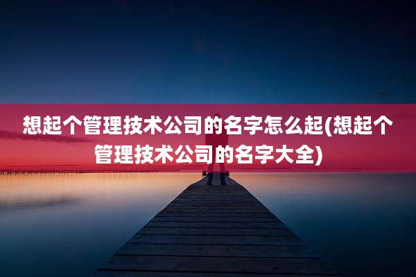 想起个管理技术公司的名字怎么起(想起个管理技术公司的名字大全)