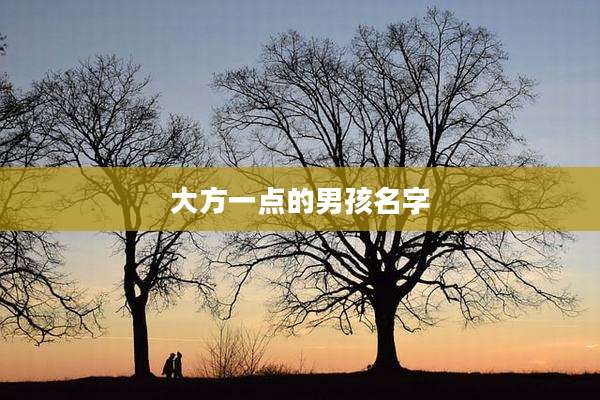 大方一点的男孩名字