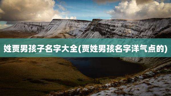 姓贾男孩子名字大全(贾姓男孩名字洋气点的)