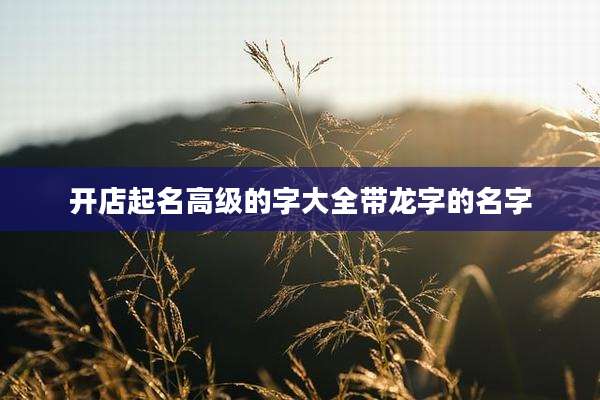 开店起名高级的字大全带龙字的名字