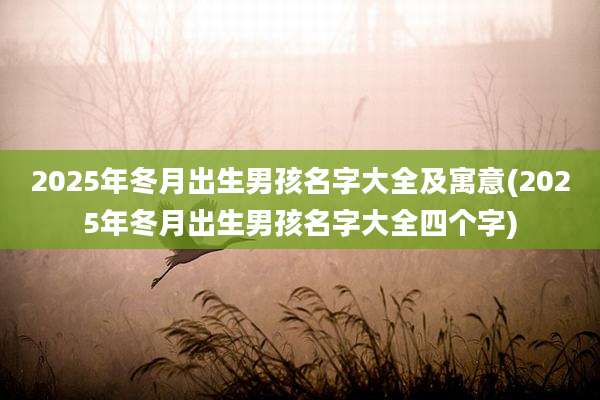 2025年冬月出生男孩名字大全及寓意(2025年冬月出生男孩名字大全四个字)