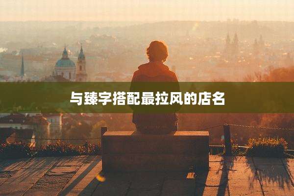 与臻字搭配最拉风的店名