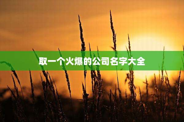 取一个火爆的公司名字大全