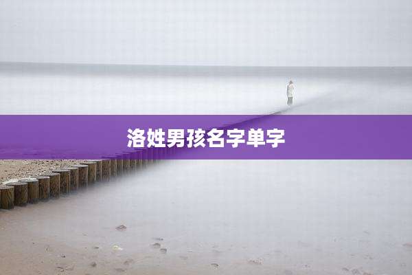 洛姓男孩名字单字