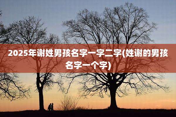 2025年谢姓男孩名字一字二字(姓谢的男孩名字一个字)