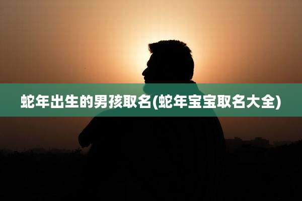 蛇年出生的男孩取名(蛇年宝宝取名大全)