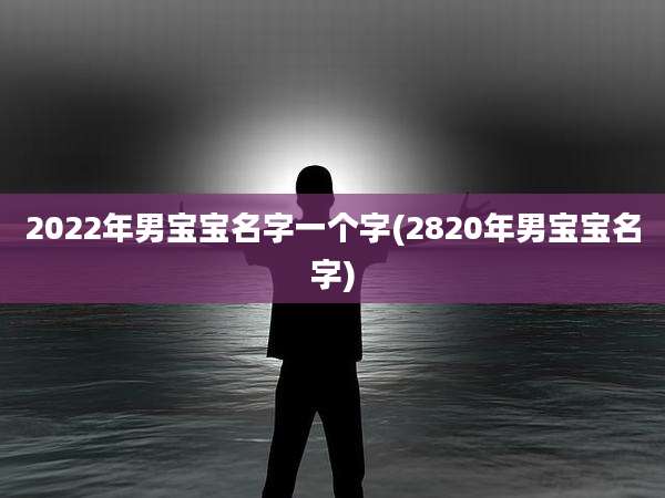 2022年男宝宝名字一个字(2820年男宝宝名字)