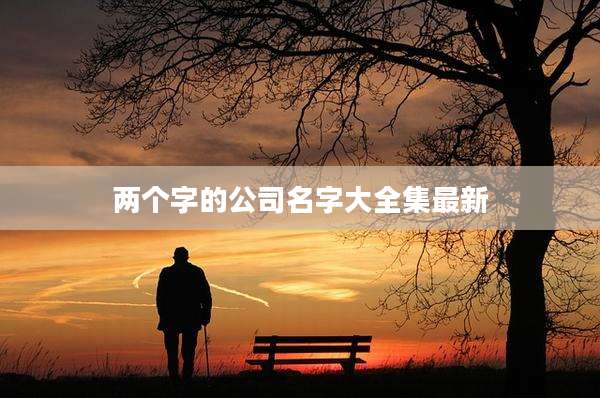 两个字的公司名字大全集最新