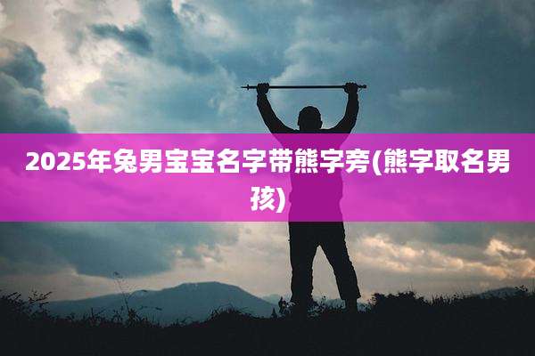 2025年兔男宝宝名字带熊字旁(熊字取名男孩)