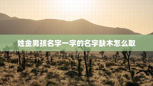 姓金男孩名字一字的名字缺木怎么取