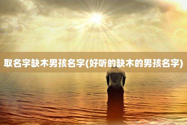 取名字缺木男孩名字(好听的缺木的男孩名字)