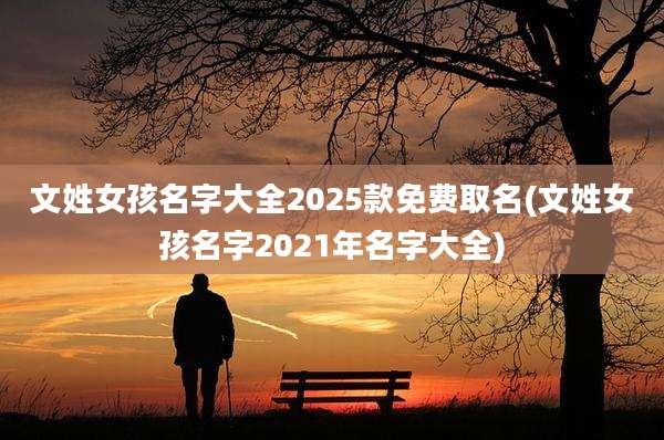 文姓女孩名字大全2025款免费取名(文姓女孩名字2021年名字大全)