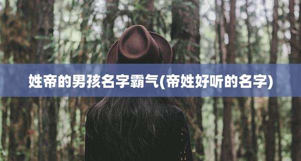 姓帝的男孩名字霸气(帝姓好听的名字)