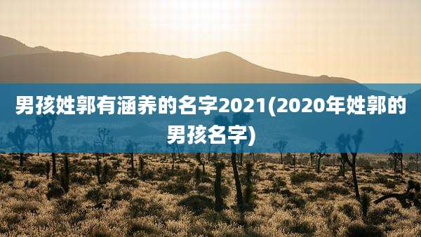 男孩姓郭有涵养的名字2021(2020年姓郭的男孩名字)