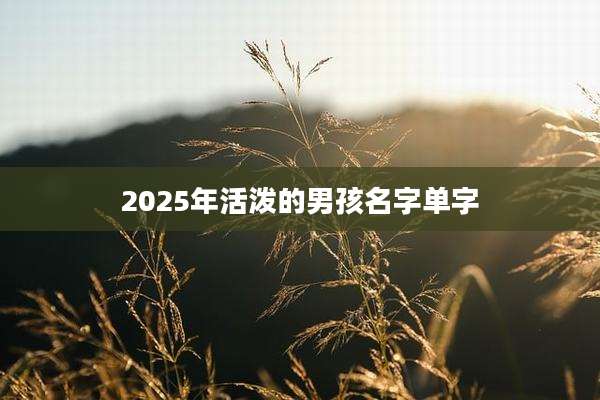2025年活泼的男孩名字单字