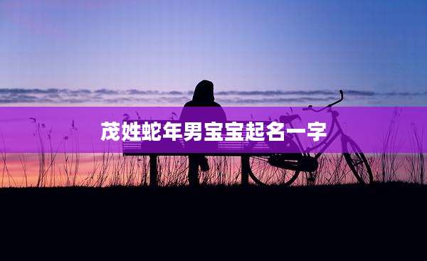 茂姓蛇年男宝宝起名一字