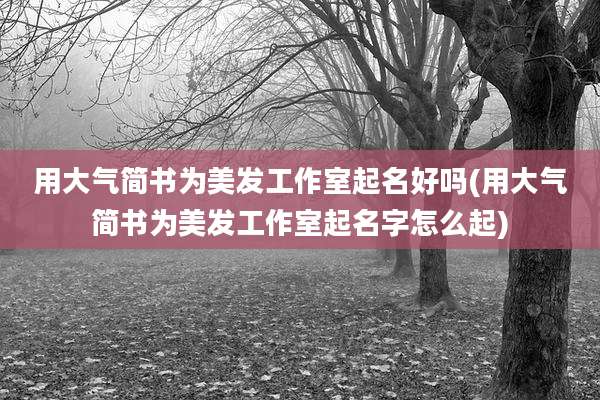 用大气简书为美发工作室起名好吗(用大气简书为美发工作室起名字怎么起)