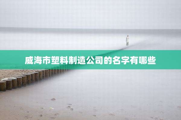 威海市塑料制造公司的名字有哪些