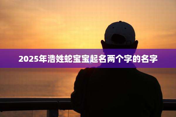 2025年浩姓蛇宝宝起名两个字的名字