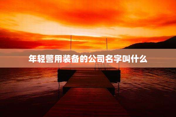 年轻警用装备的公司名字叫什么
