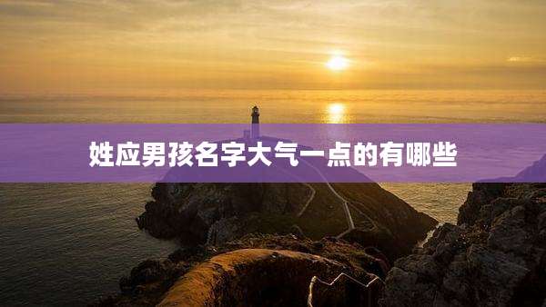 姓应男孩名字大气一点的有哪些