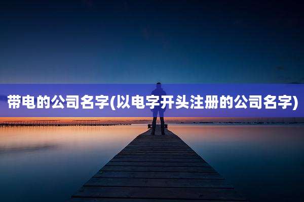带电的公司名字(以电字开头注册的公司名字)