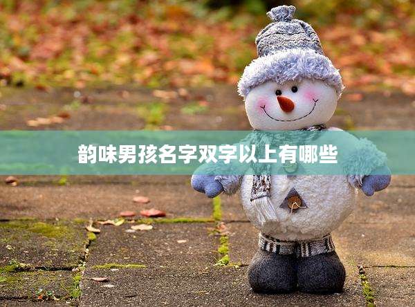 韵味男孩名字双字以上有哪些