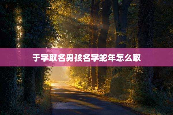 于字取名男孩名字蛇年怎么取
