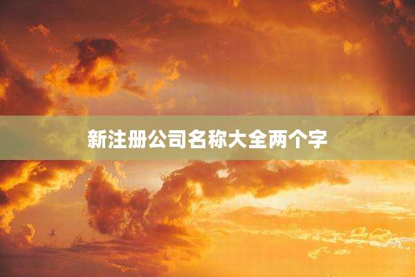 新注册公司名称大全两个字