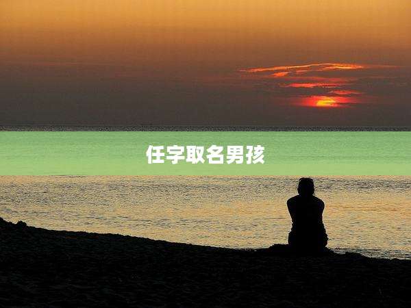 任字取名男孩