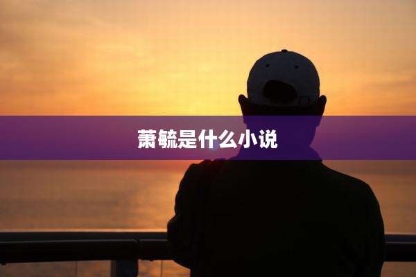 萧毓是什么小说