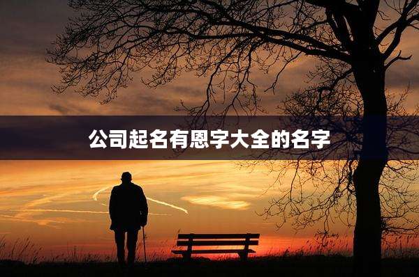 公司起名有恩字大全的名字