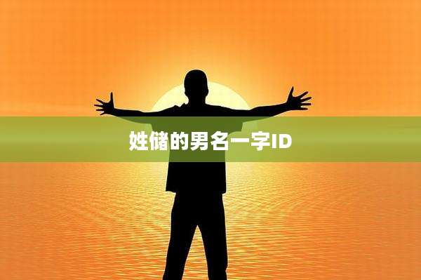 姓储的男名一字ID