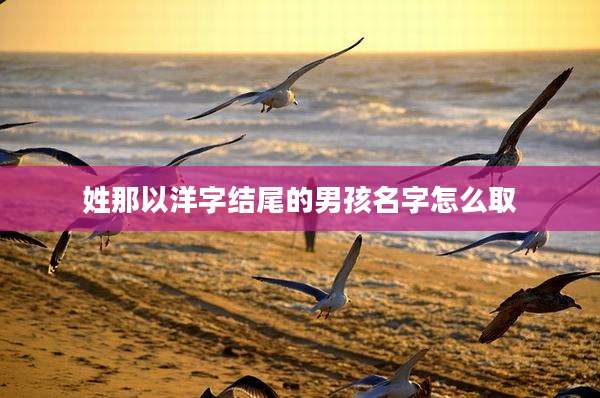 姓那以洋字结尾的男孩名字怎么取