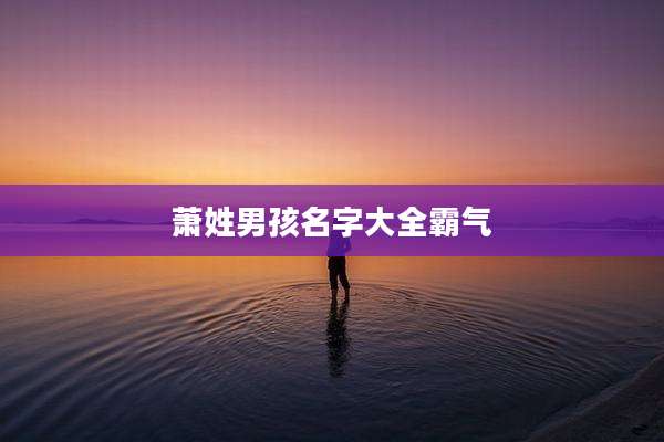 萧姓男孩名字大全霸气