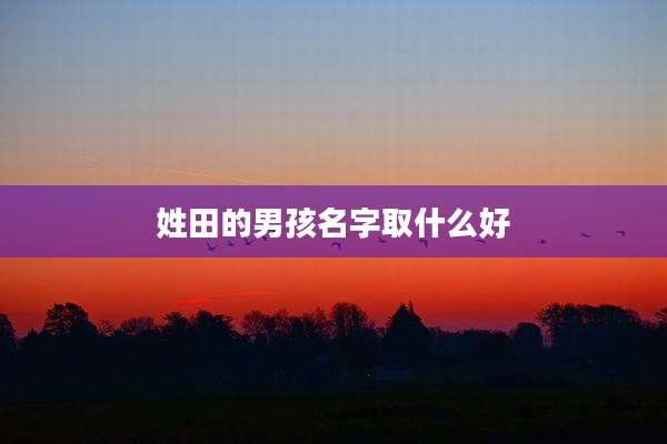姓田的男孩名字取什么好