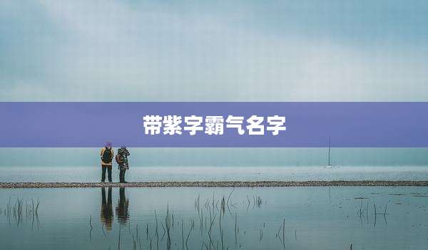 带紫字霸气名字