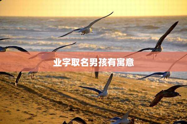 业字取名男孩有寓意
