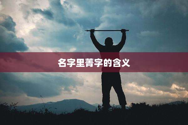 名字里菁字的含义
