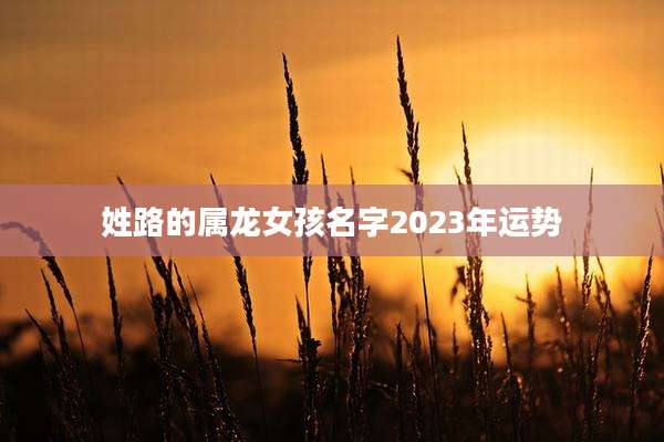 姓路的属龙女孩名字2023年运势
