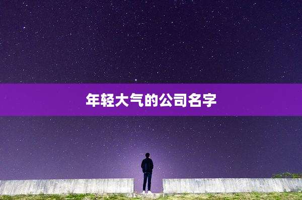 年轻大气的公司名字